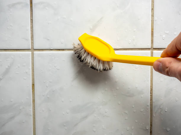 Best White Mold Remediation in Mountain Brook, AL