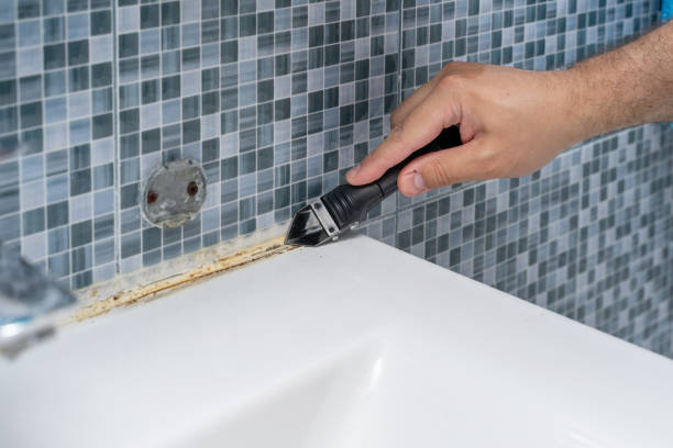 Best DIY Mold Remediation Support Services in Mountain Brook, AL